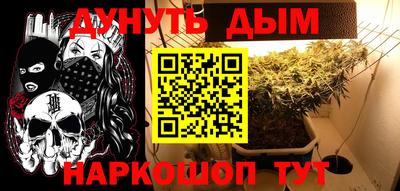 крисы Краснознаменск