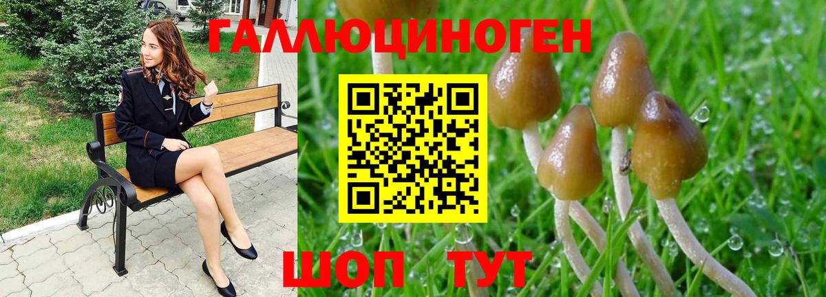 Галлюциногенные грибы GOLDEN TEACHER  Вход с VPN  Киров 