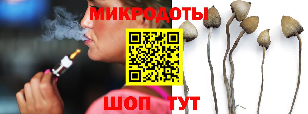 Псилоцибиновые грибы Psilocybe Киров